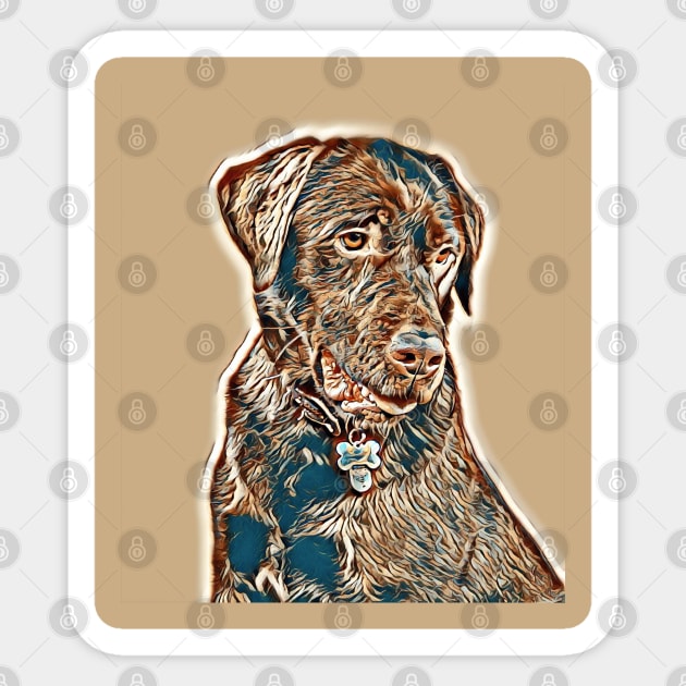 Crazy Chocolate Labrador - Brodie Sticker by Wee Gem Tees